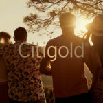 Group of people silhouetted against sunset under tree branches